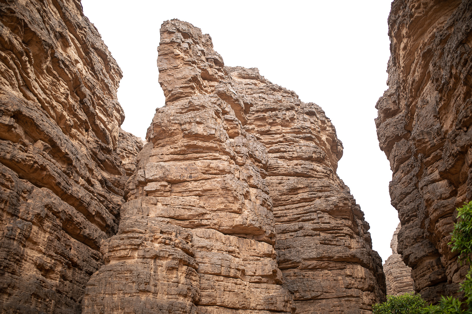 Human & Nature  outoftime 111